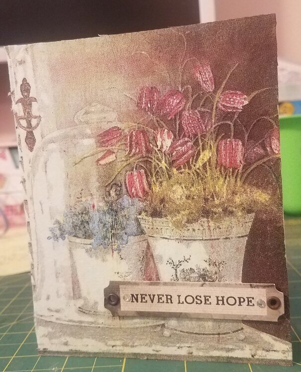 Never lose hope