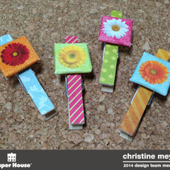 Altered Clothespins