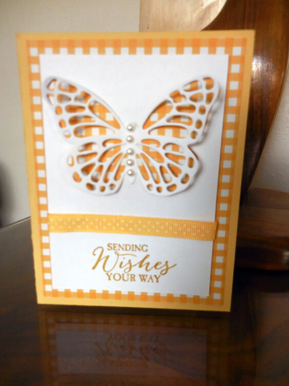 Gingham Butterfly Card