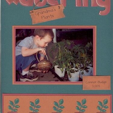 Watering Grandma's Plants