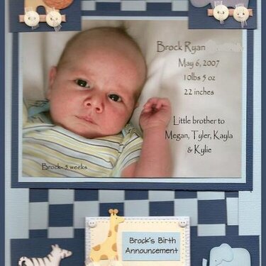 Brock's Birth Announcement