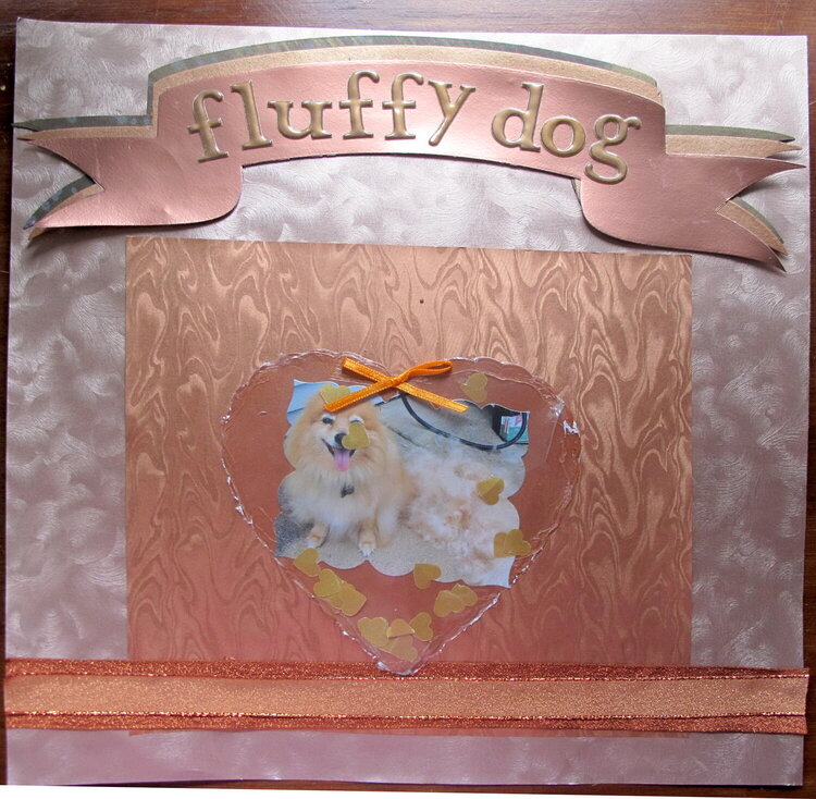 Fluffy Dog