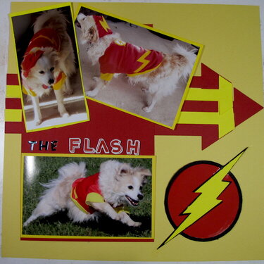 The Flash