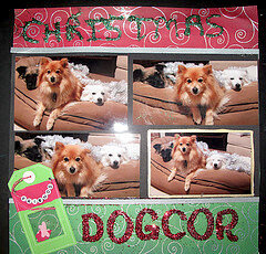 Christmas Dogcor -- my husband was being goofy when we were decorating the tree and draped the dogs in tinsel