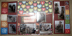 Blossom and Laser pointer panoramic page open
