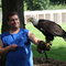 Illinois Raptor Center Eagle Experience