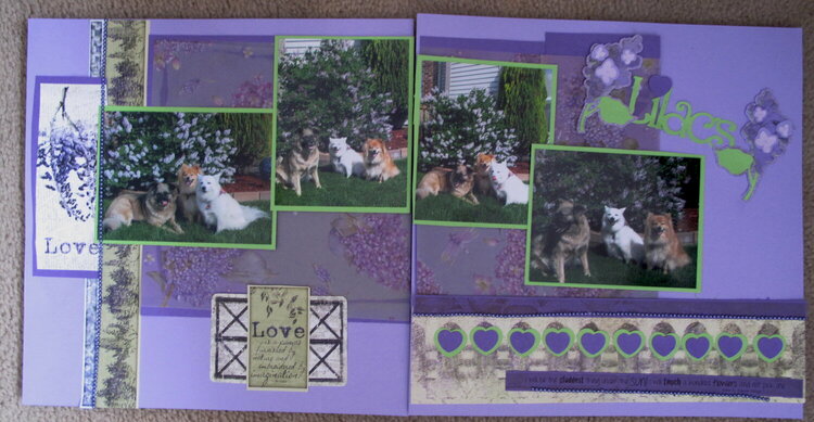Lilacs 2014