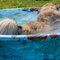 Blossom chilling out trying to swim in the kiddie pool