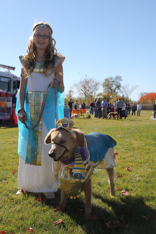 Halloween Dog costume contests 2014