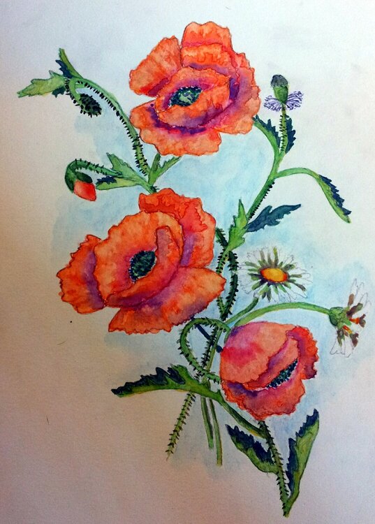 Watercolor Flowers...Poppies Maybe? Lol