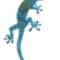 Tribal Gecko Pretty in Blue