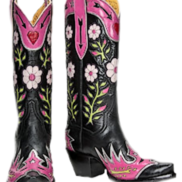 Fancy Cowgirl Boots
