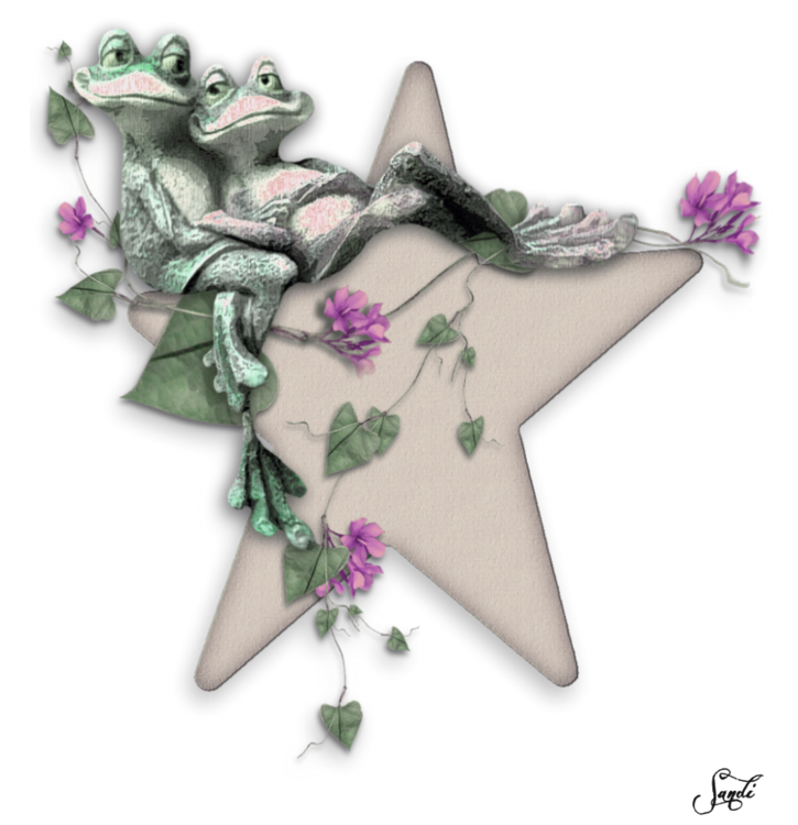 Frogs in Love