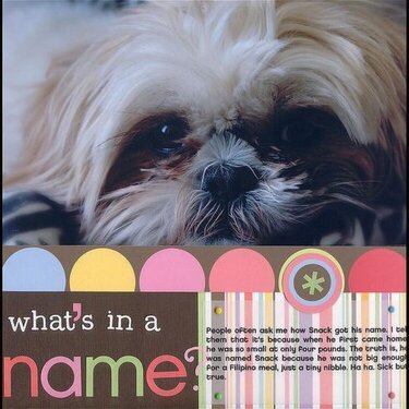 What&#039;s in a Name? ::American Crafts:: *PaperKuts 2005*