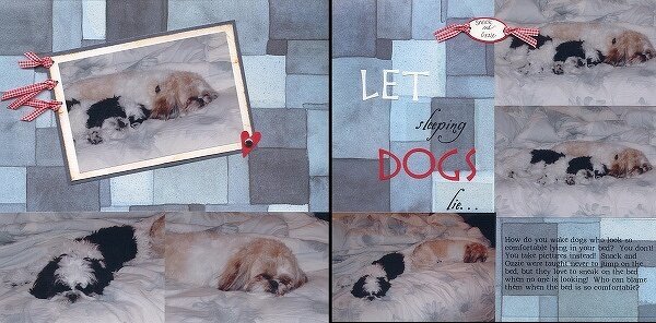 Let Sleeping Dogs Lie...