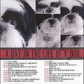 A Day in the Life of a Dog *as seen in April 2005 CK*