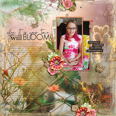 Bloom