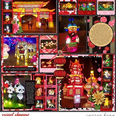 Chinese Lantern Fest