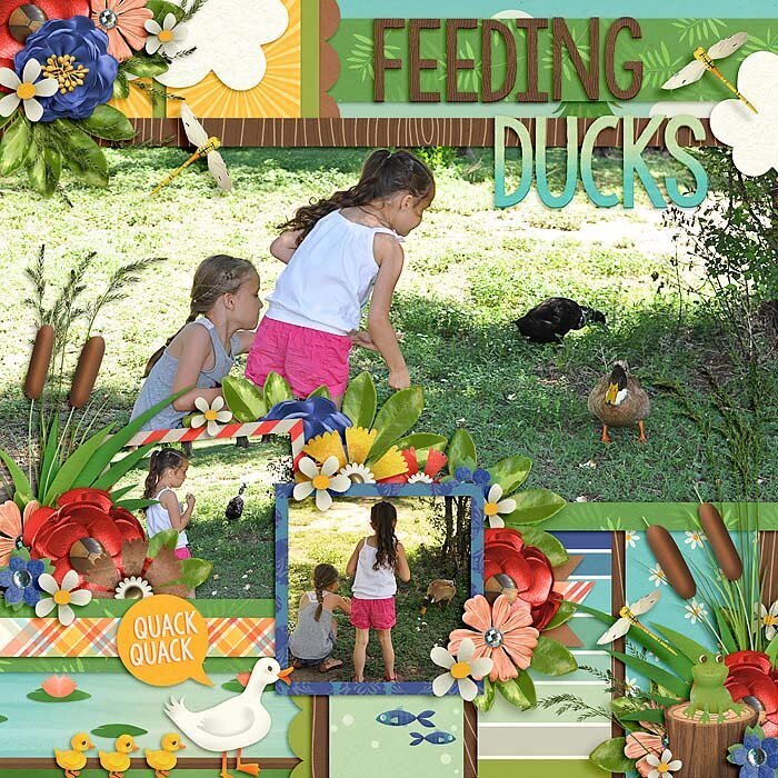 Feeding Ducks