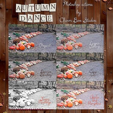 Samples of Autumn Dance photoshop actions