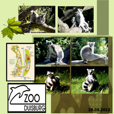 Zoo Duisburg1