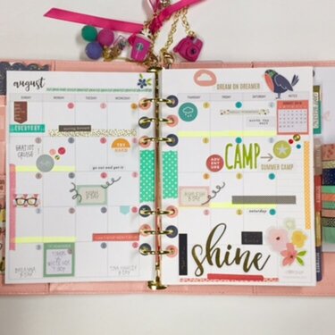 Carpe Diem 2016 Planner