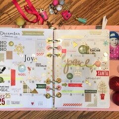 Carpe Diem 2016 Planner