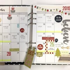 Carpe Diem Planner December Monthly Spread