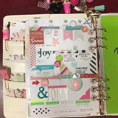 Carpe Diem 2016 Planner