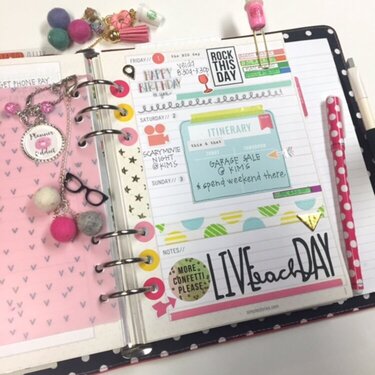 Carpe Diem Planner