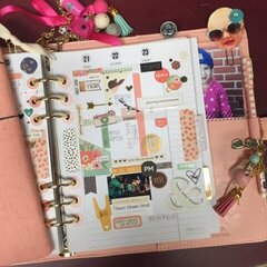 Carpe Diem 2016 Planner