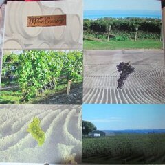 Winery layout 1
