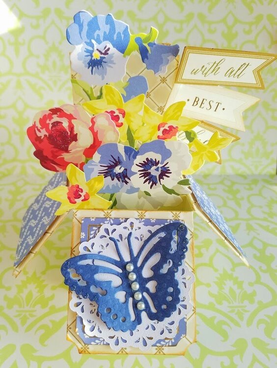 Anna Griffin Best Wishes Window Box Card