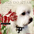 Dogs Do Speak