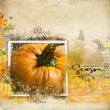 Pumpkin - It&#039;s My Favorite Season