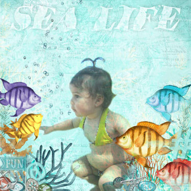 Sea Life