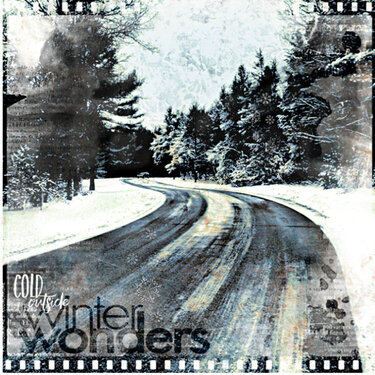 Winter Wonders