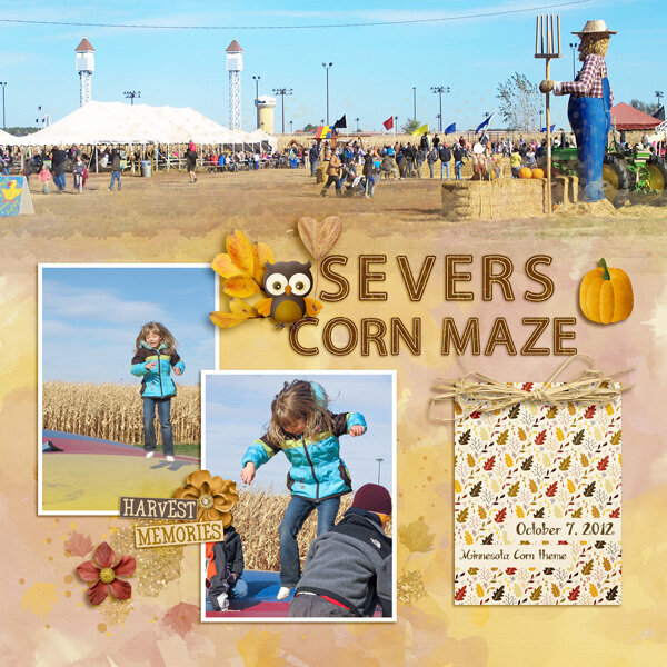 Severs Corn Maze