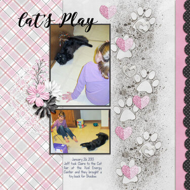 Cat&#039;s Play