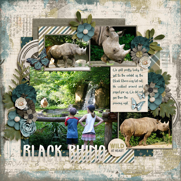 Black Rhino