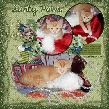 Santy Paws