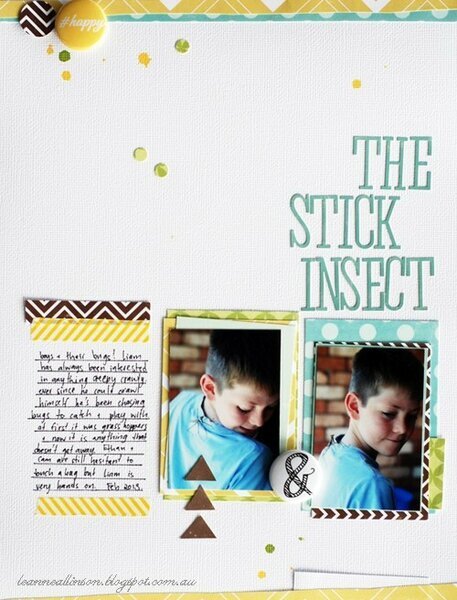 The Stick Insect