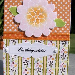 Birthday Wishes found on Pinterest
