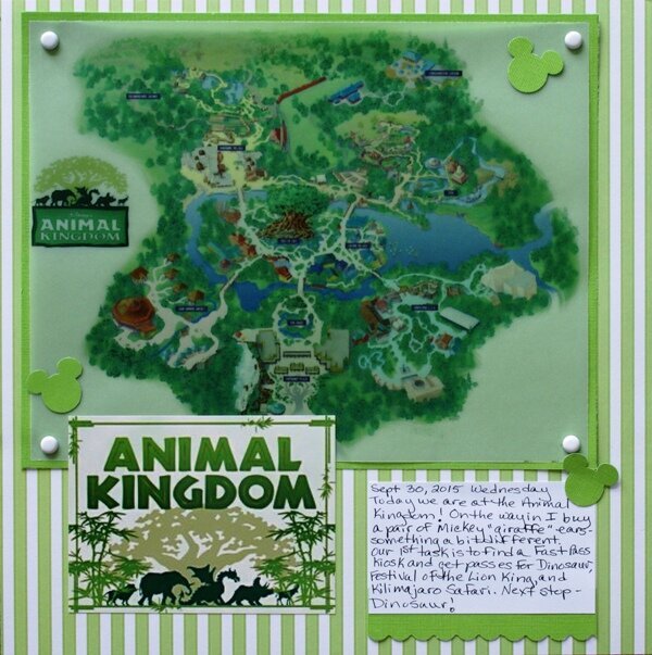 Animal Kingdom