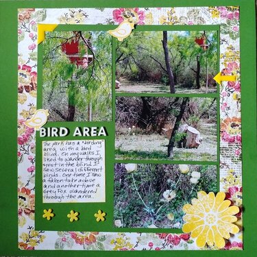 Bird Area