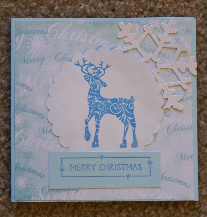 2014 Christmas Card 9