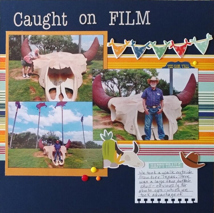 Caught on Film Project Idea