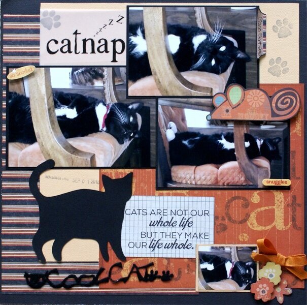 Catnap