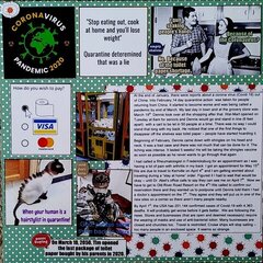 Coronavirus Pandemic