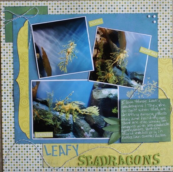 Leafy Seadragons